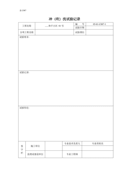 冲(吹)洗试验记录